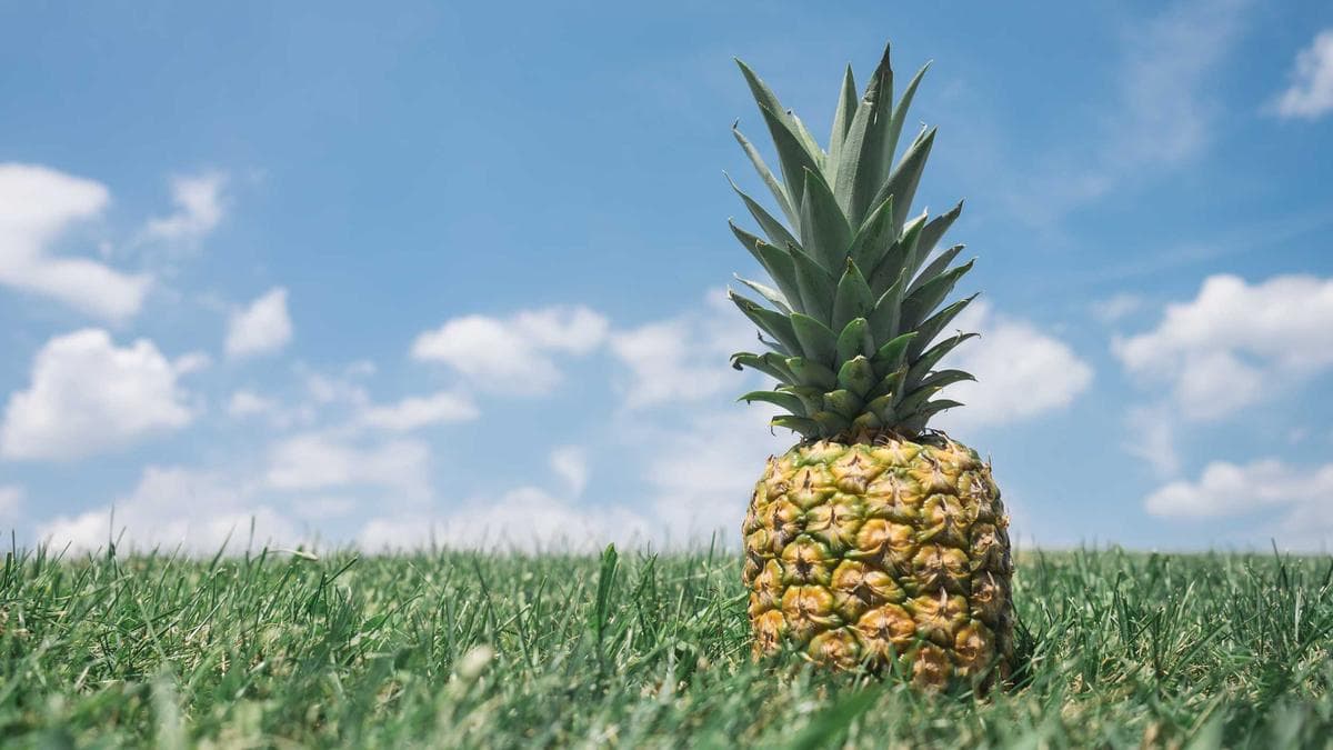 妊活中のストレスケア：心と体を整える方法